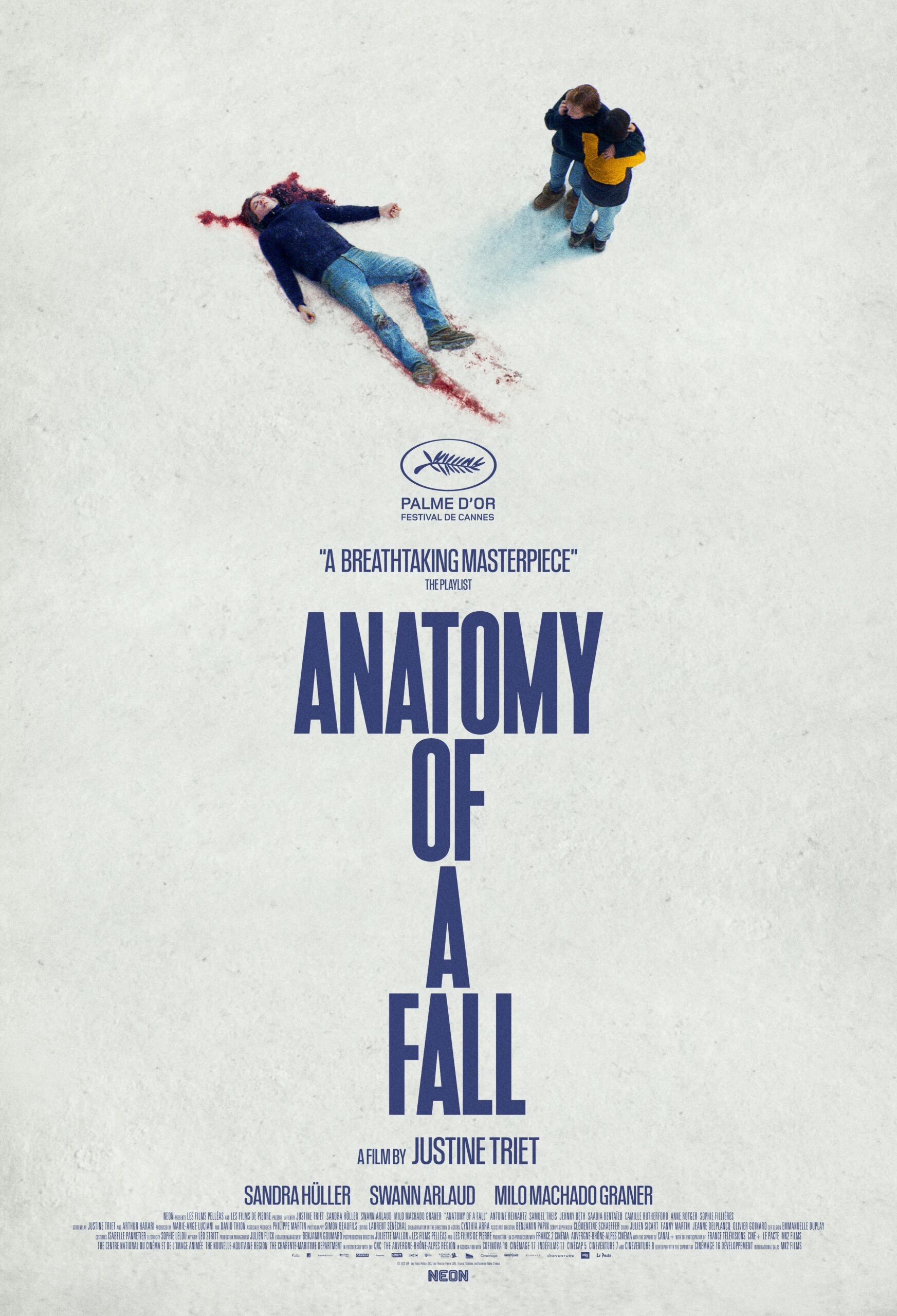 Bir Düşüşün Anatomisi izle