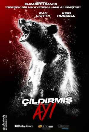 Çıldırmış Ayı izle